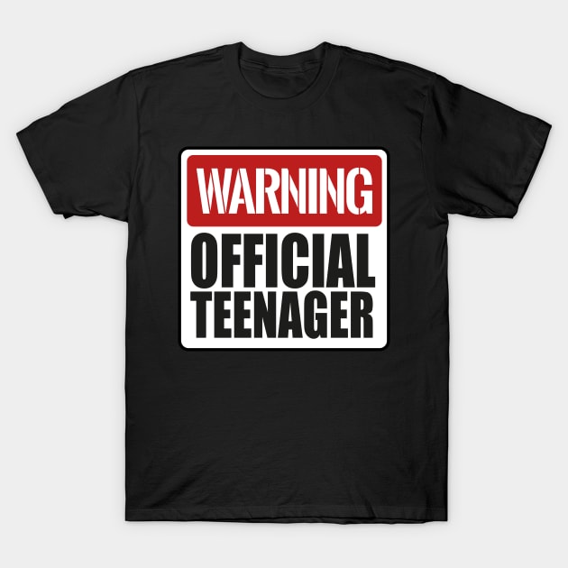 Official 13 Teenager Birthday Boys Girls 13th Birthday Gift T-Shirt by smartrocket